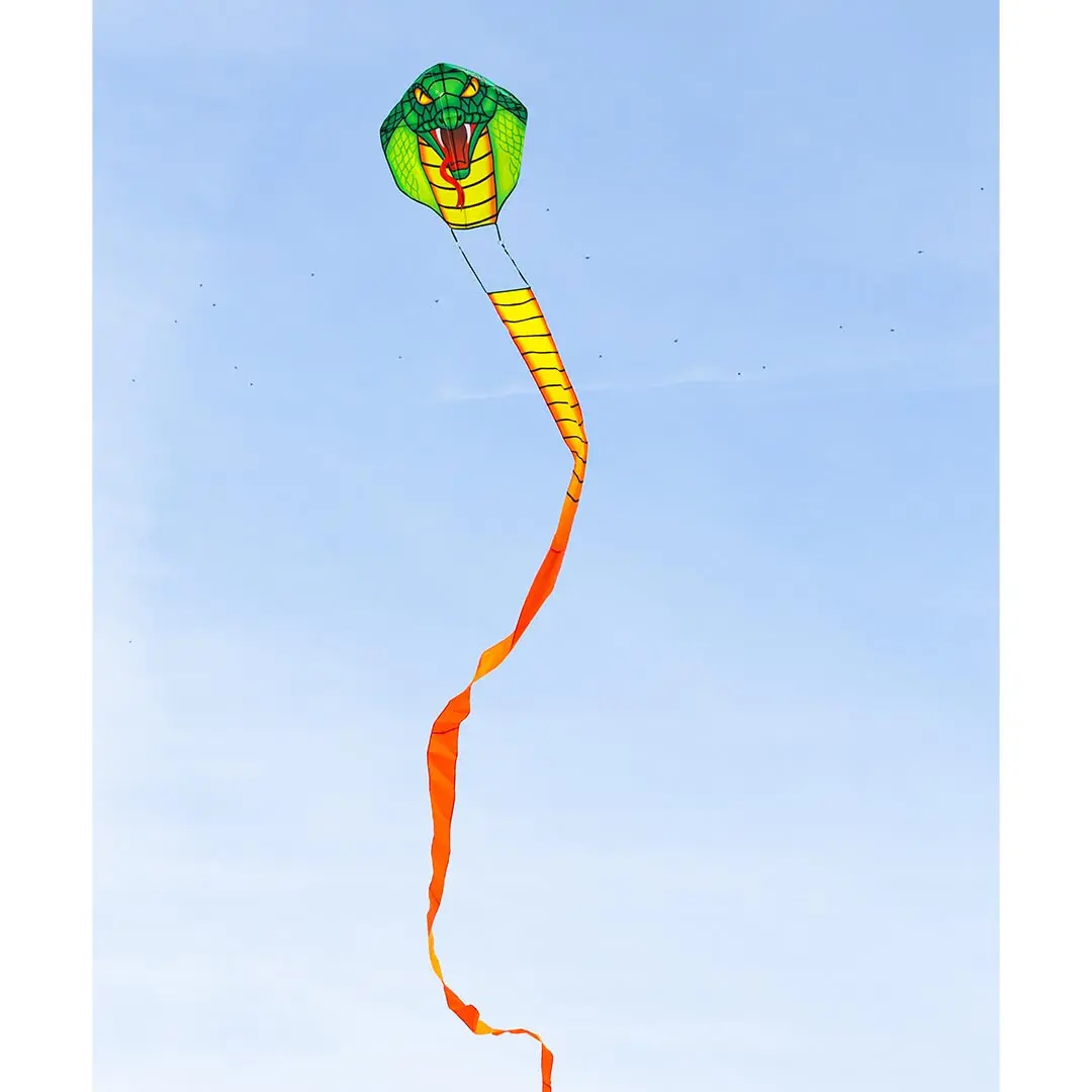 Cerf-volant Ecoline Cobra Kite Emerald