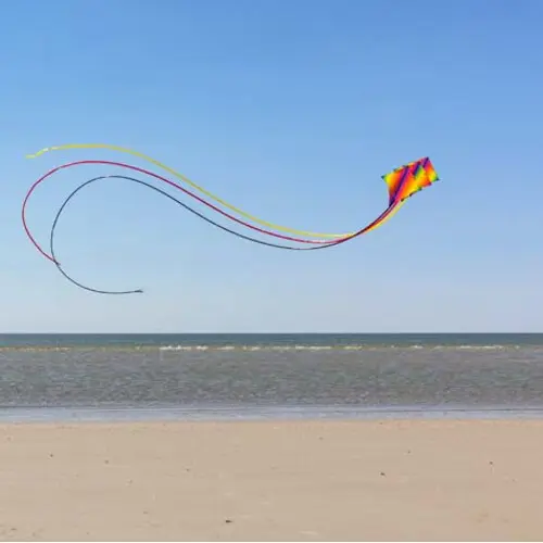 Cerf-volant HQ Kites Dancer II