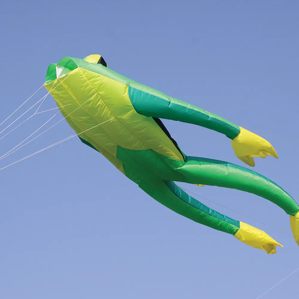 Cerf-volant Wolkenstürmer Fritz The Frog Grand
