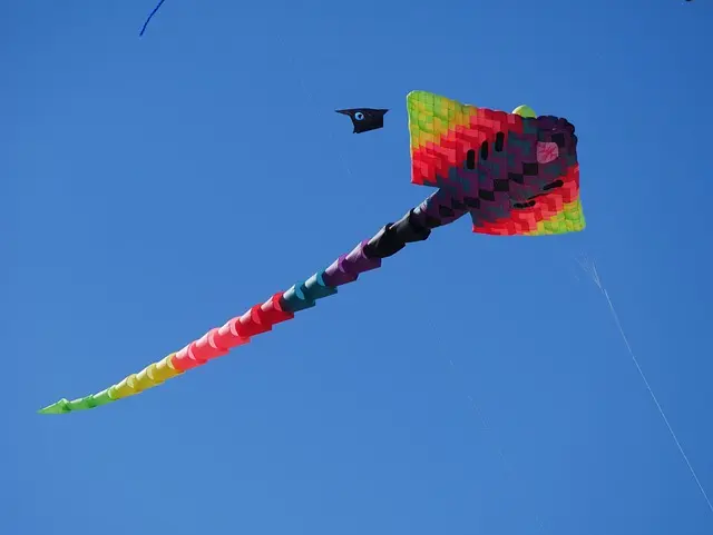 Comparatif des meilleurs volants pour maximiser votre vitesse